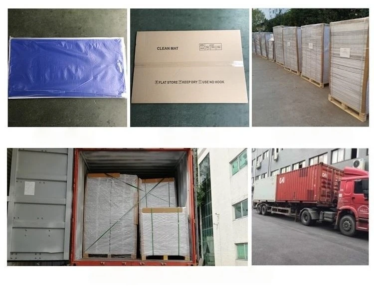 contamination control mat 6